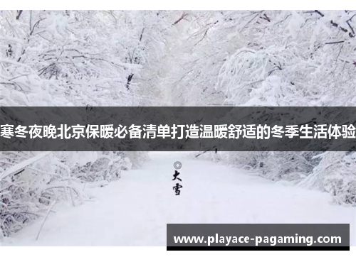 寒冬夜晚北京保暖必备清单打造温暖舒适的冬季生活体验 寒冬夜晚北京保暖必备清单打造温暖舒适的冬季生活体验