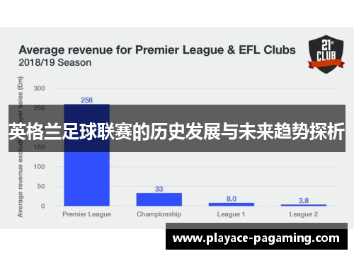 英格兰足球联赛的历史发展与未来趋势探析
